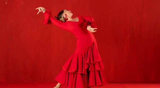 フラメンコとは？起源・歴史・種類・魅力を初心者向けに解説｜スペイン文化が生んだ情熱の舞踊